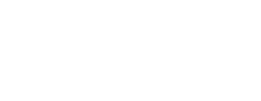 Ambulanter Pflegedienst Neukirch GmbH - Logo